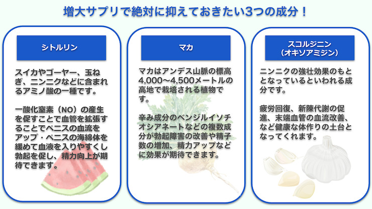 増大サプリに重要な3つの成分