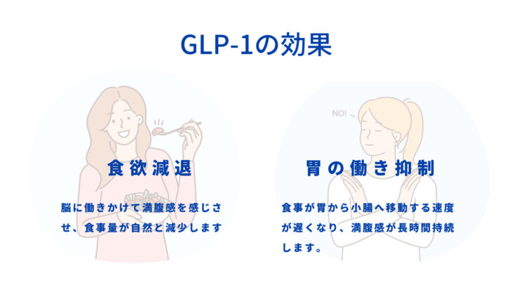 GLP-1の効果