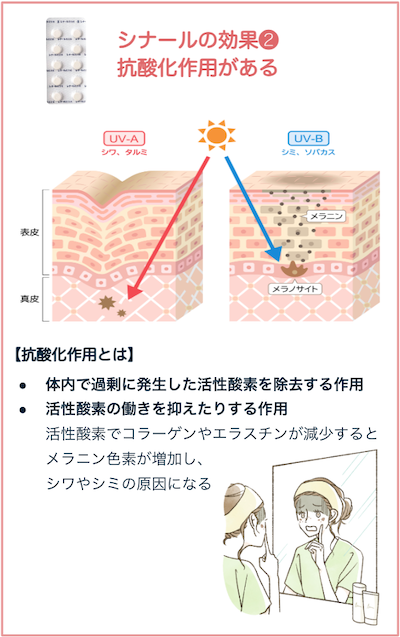 シナール配合錠には抗酸化作用がある