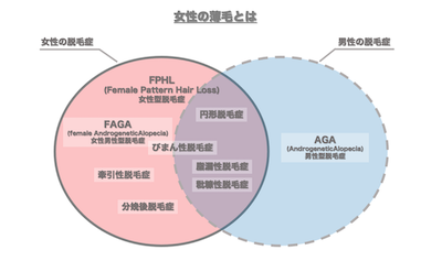 女性の薄毛（FPHL/FAGA/びまん性脱毛症）とは