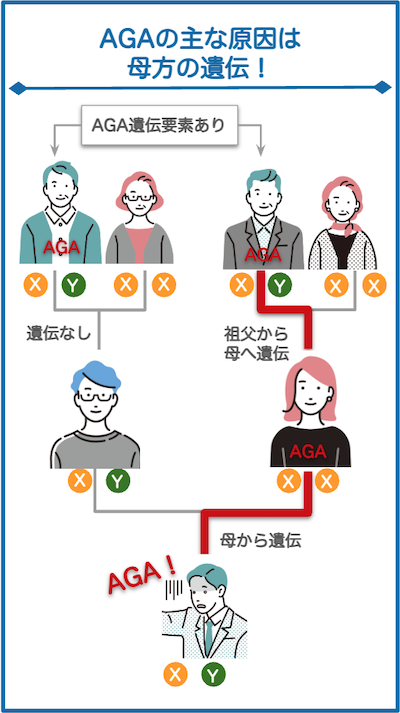 AGA は母方から遺伝