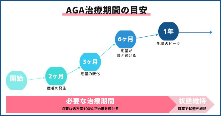 AGA治療期間の目安と期間ごとの効果