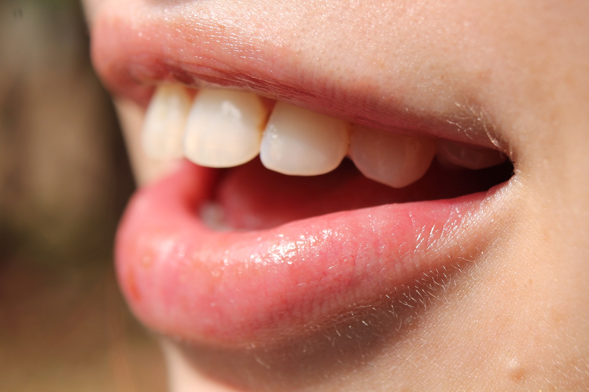 奥歯の入れ歯のメリットとデメリット ｜ WITH DENTAL CLINIC｜代官山 ...