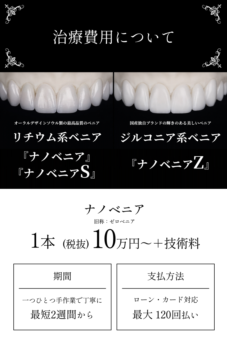 ナノベニアの料金・価格
