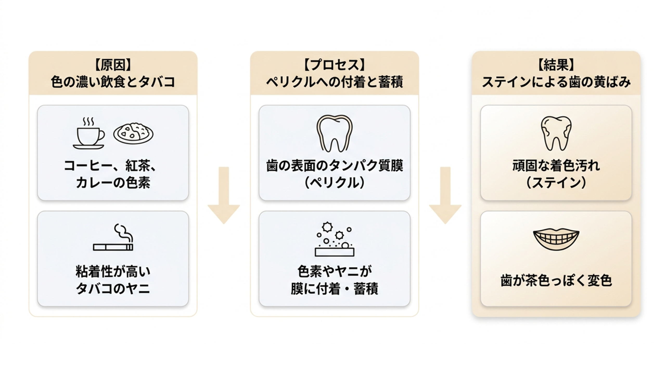 外因性の黄ばみの原因・プロセス・結果